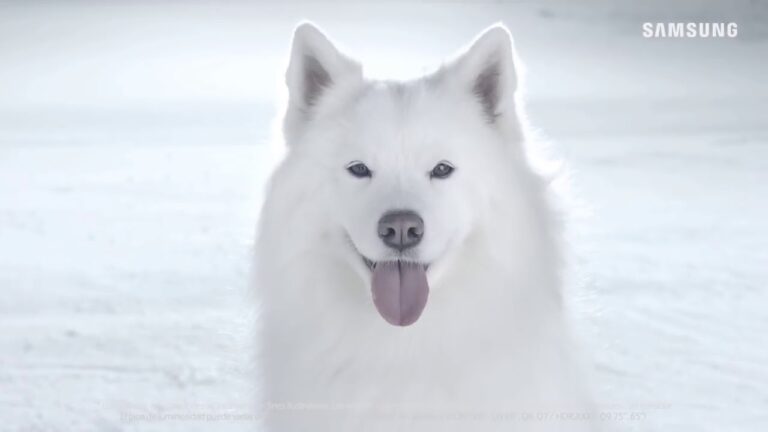 La Mejor TV QLED (Análisis 2023)