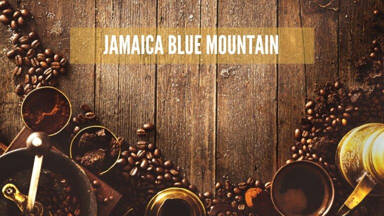 El mejor café Jamaica Blue Mountain de 2026: cuál es auténtico