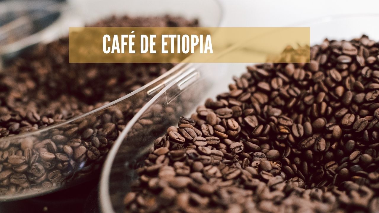 Mejor café de Etiopia