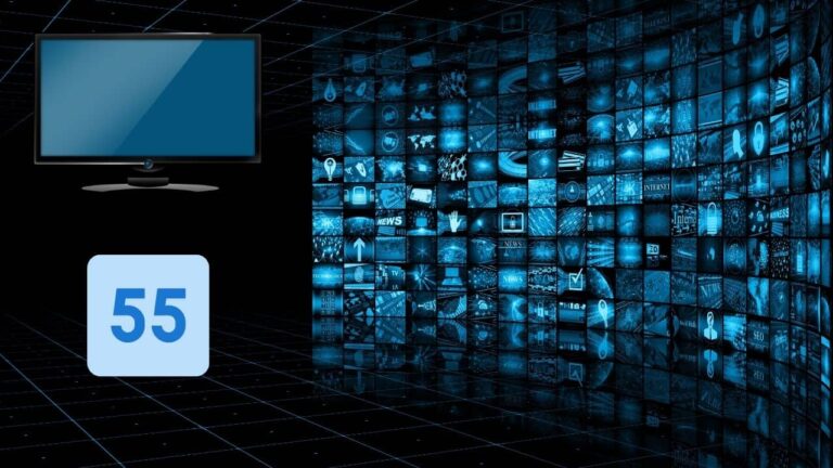 LA MEJOR TV 55 PULGADAS