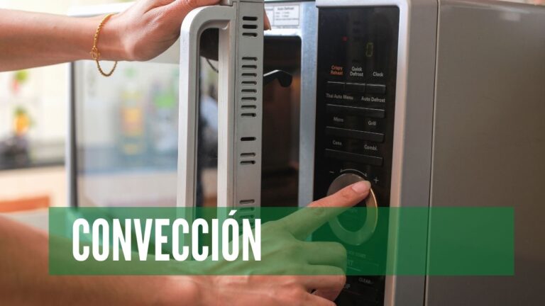 El mejor microondas de convección de 2026: 8 comparados
