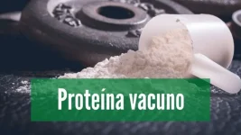 La mejor proteína de huevo